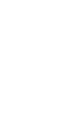 Shape 2