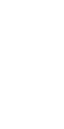 Shape 2